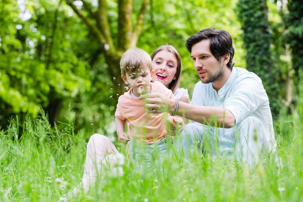 Familia con hijo en el prado — Foto de Stock