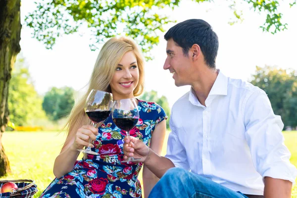 Pareja teniendo picnic ingenio vino tinto en el prado —  Fotos de Stock