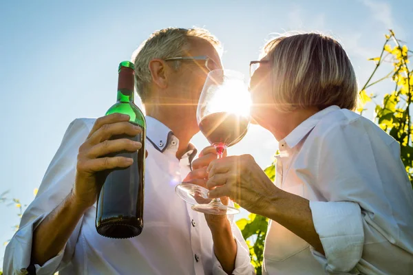 Couple âgé buvant du vin rouge — Photo