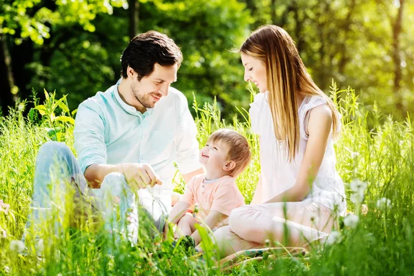 Zittend in zomer weide en gelukkige familie — Stockfoto