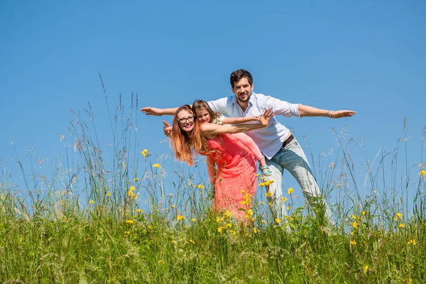 Familie doen het vliegtuig op zomer weide — Stockfoto