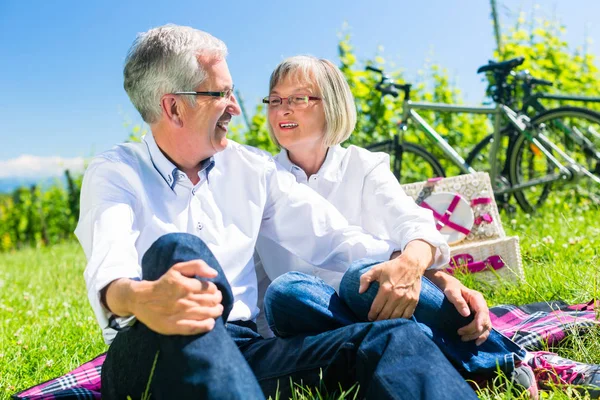 Senior woman and man having picnic on meadow — Stock Photo, Image