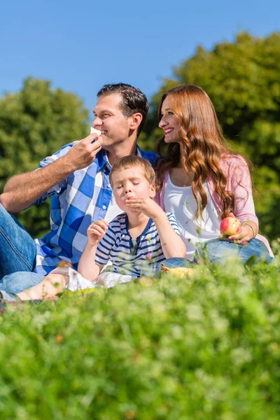 Família fazendo piquenique — Fotografia de Stock