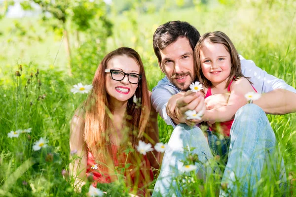 Família sentada no prado dando proteção a seus filhos — Fotografia de Stock