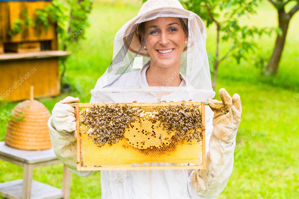 Beekeeper controlling beeyard