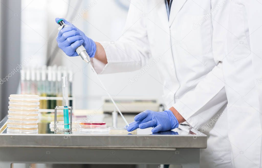Research operator preparing samples