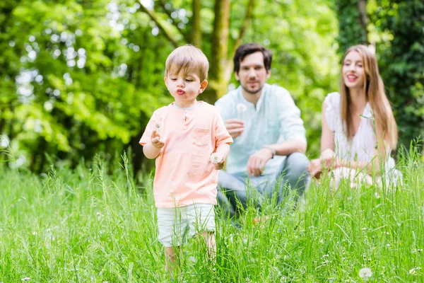 Family with son on meadow — Stock Photo, Image