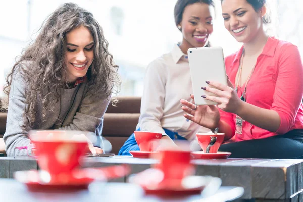 Giovani donne in caffè — Foto Stock