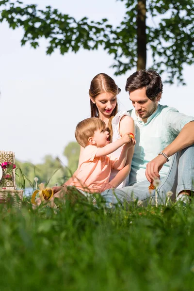 Çayır üzerinde oturan Gölü piknik aile — Stok fotoğraf