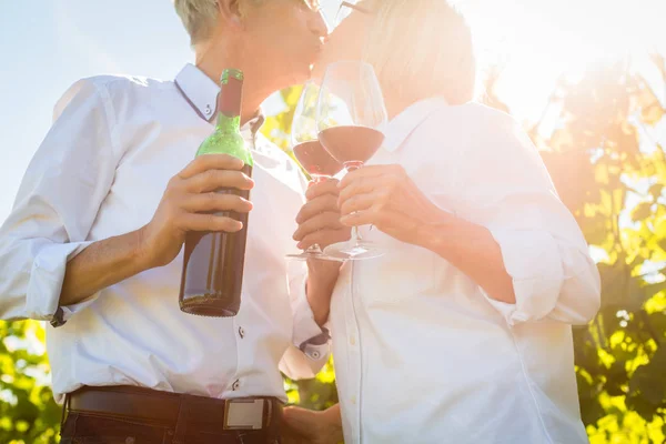 Idősebb pár vörös bort iszik — Stock Fotó