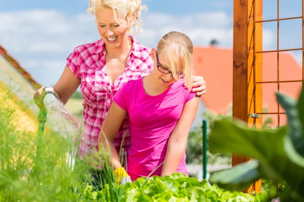 Family at gardening  in front of their home — Stock Photo, Image