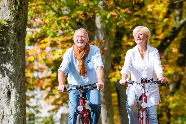 Seniors on bicycles having tour in park