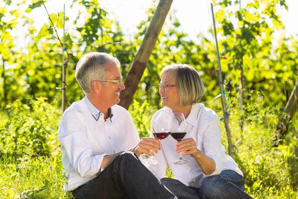 Aînés assis dans le vignoble à boire du vin rouge — Photo