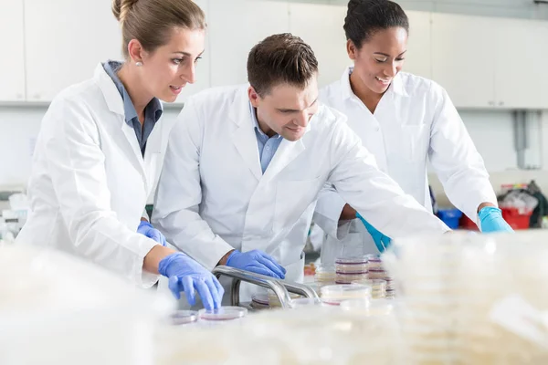 Grupo de cientistas em laboratório alimentar — Fotografia de Stock