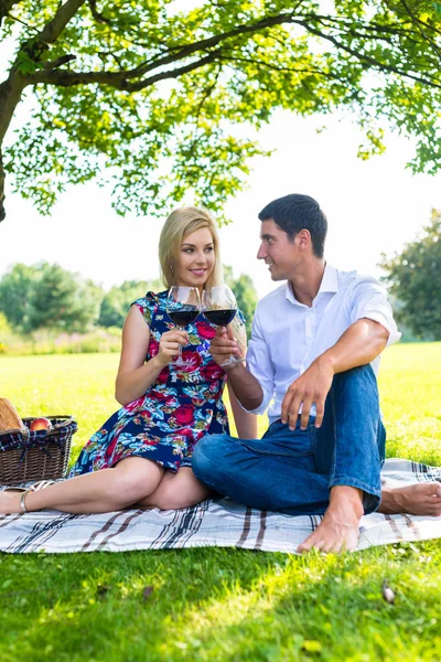 Pareja teniendo picnic ingenio vino tinto en el prado — Foto de Stock
