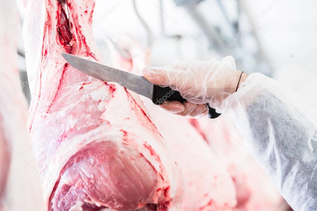 Hand of butcher in butchery cutting meat