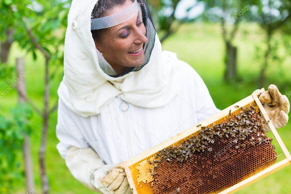 Beekeeper controlling beeyard 