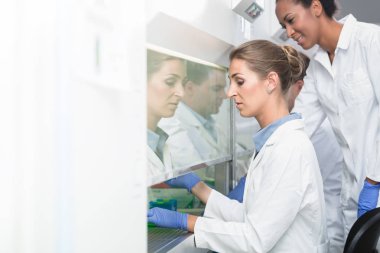 Birlikte çalışan araştırmacı ve laboratuar asistanı