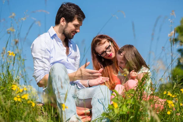 Çayır üzerinde kır çiçekleri ile oynarken aile — Stok fotoğraf