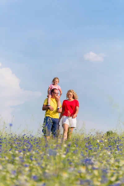 Família que tem passeio no prado com flores — Fotografia de Stock