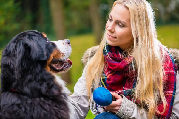 Mulher brincando com seu cão e brinquedo no parque de outono — Fotografia de Stock