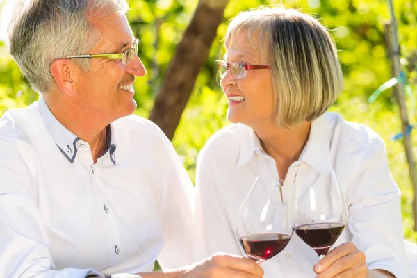 Seniors sitting in vineyard drinking red wine — Stock Photo, Image