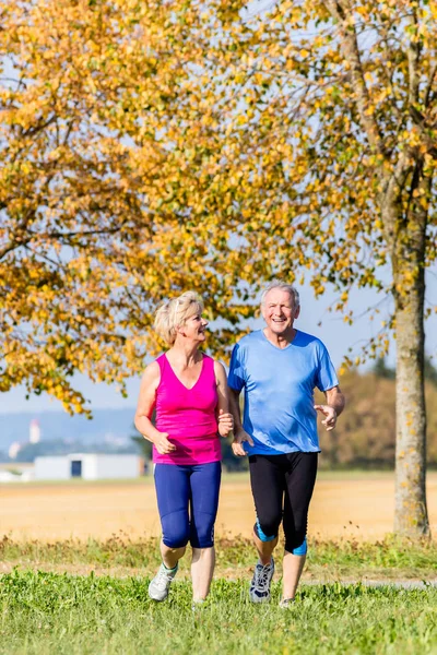 Senior woman and man doing fitness exercises — Stock Photo, Image