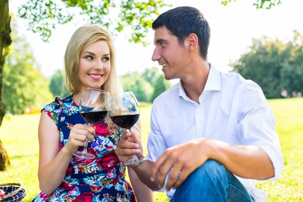 Пара має пікнік з червоним вином на лузі — стокове фото