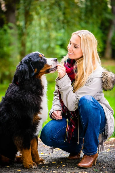 Kvinna gå ut med hunden — Stockfoto