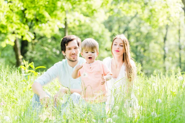 Pojke kör och spelar på ängen — Stockfoto