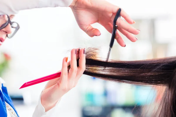 Friseur schneidet Frau Haare im Geschäft — Stockfoto