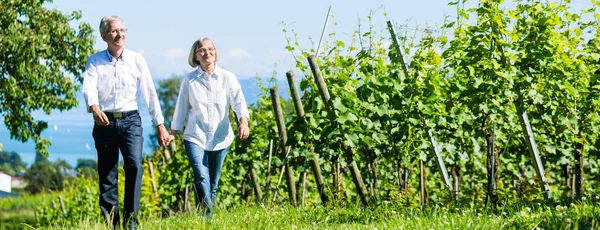 Couple sénior se promenant dans le vignoble — Photo