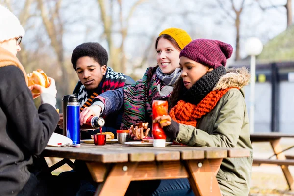 Amigos hablando en el picnic — Foto de Stock