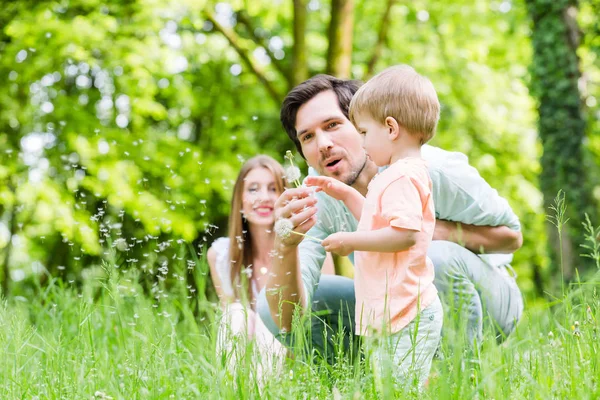 儿子在草原上的家庭 — 图库照片