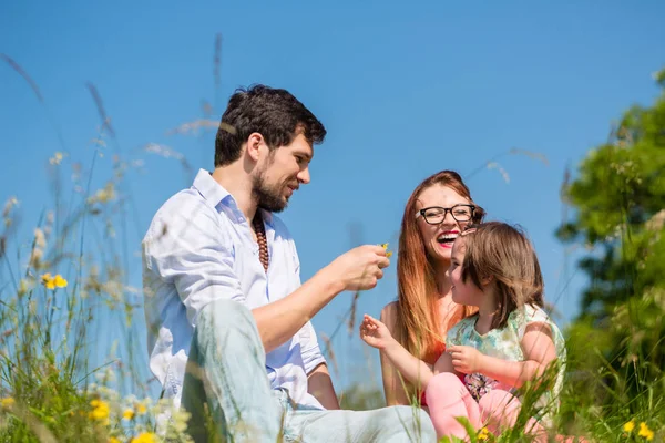 Family playing with wildflowers on meadow — Stock Photo, Image
