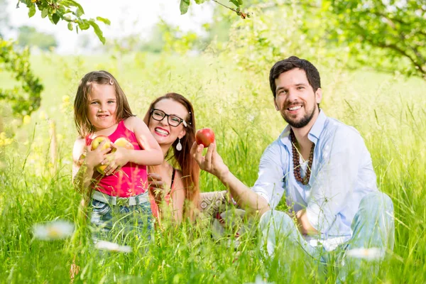 Familie hebben picnic op weide met gezond fruit — Stockfoto