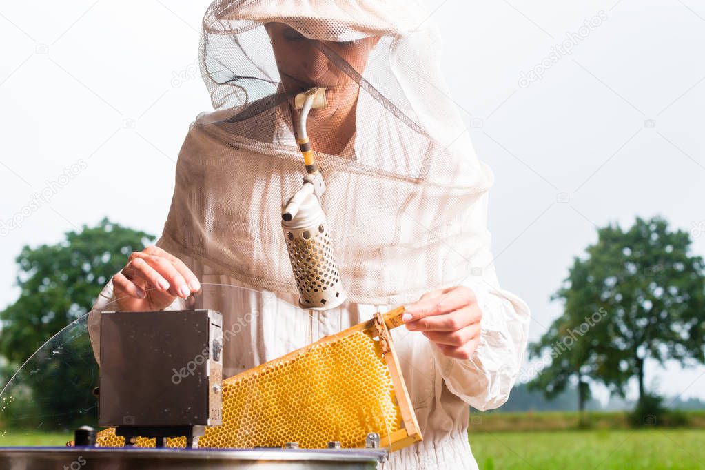 Beekeeper filling honey 