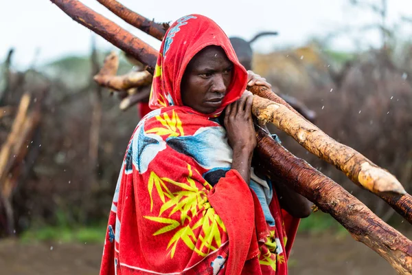 Massai-Mann sammelt Brennholz — Stockfoto