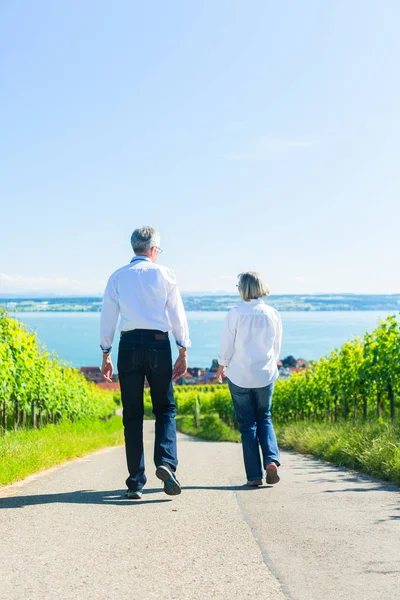 Starší pár s chůze na vinici — Stock fotografie