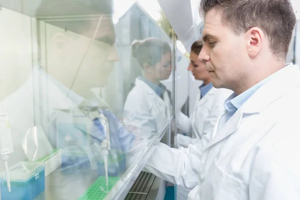 Investigadores en laboratorio de ciencias — Foto de Stock