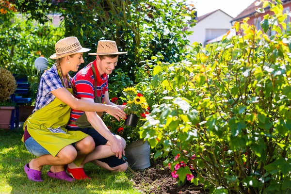 Paar pflanzt Blumen — Stockfoto