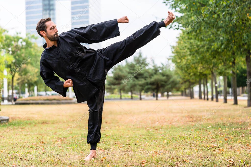 Martial artist practicing Qigong 