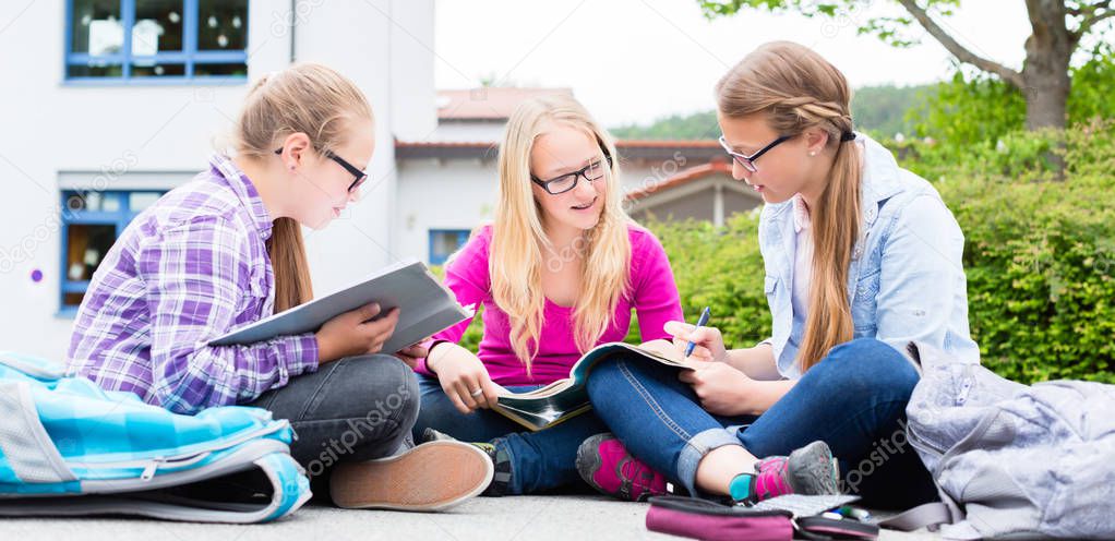 Students doing homework for school together