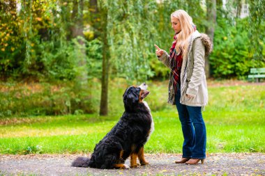 Kız onu köpek itaat Eğitim sonbahar Park
