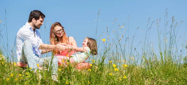 Family holding hands in summer in the grass — Stock Photo, Image