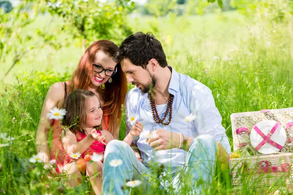 Rodina s piknik na louce s zdravé ovoce — Stock fotografie