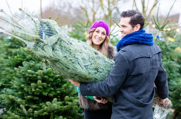 Pareja llevando comprado árbol de Navidad — Foto de Stock