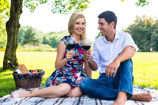Couple having picnic wit red wine on meadow — Stock Photo, Image