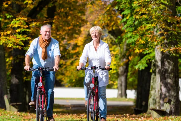 Seniors on bicycles having tour in park — Stock Photo, Image