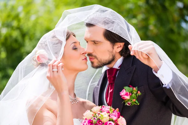 Par de noivas beijando sob véu — Fotografia de Stock
